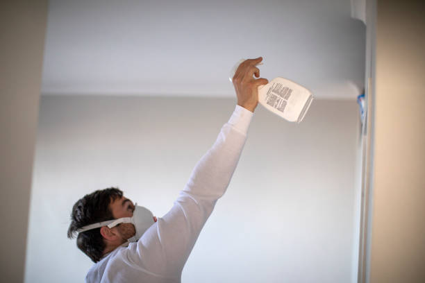 Best Residential Mold Remediation in Momence, IL
