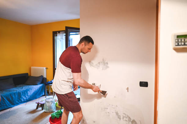 Momence, IL Mold Remediation Company